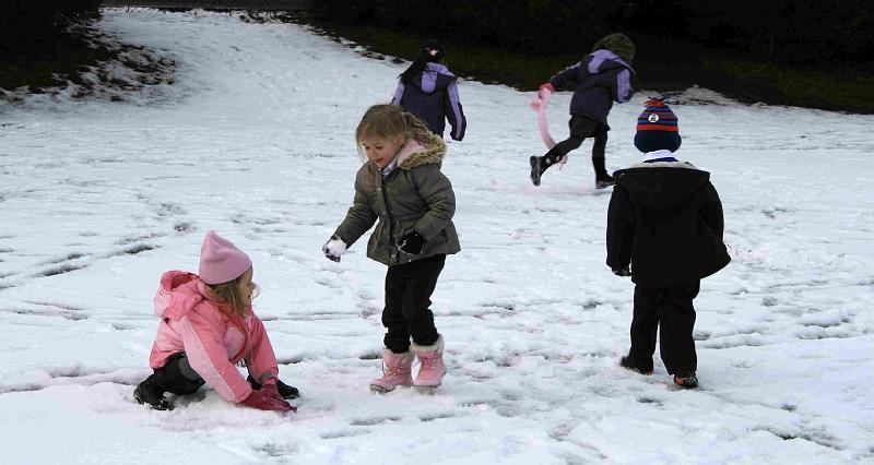 Snowy_Weather_Feb_09 (18)